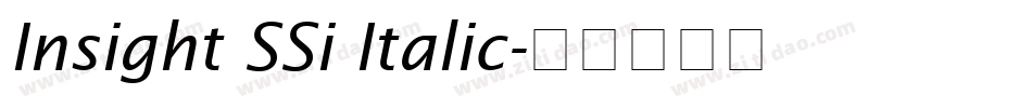 Insight SSi Italic字体转换